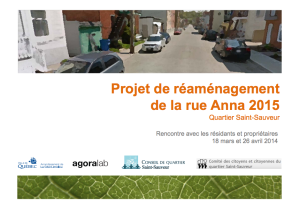 Presentation_Projet-reamenagement-rue-Anna-2015